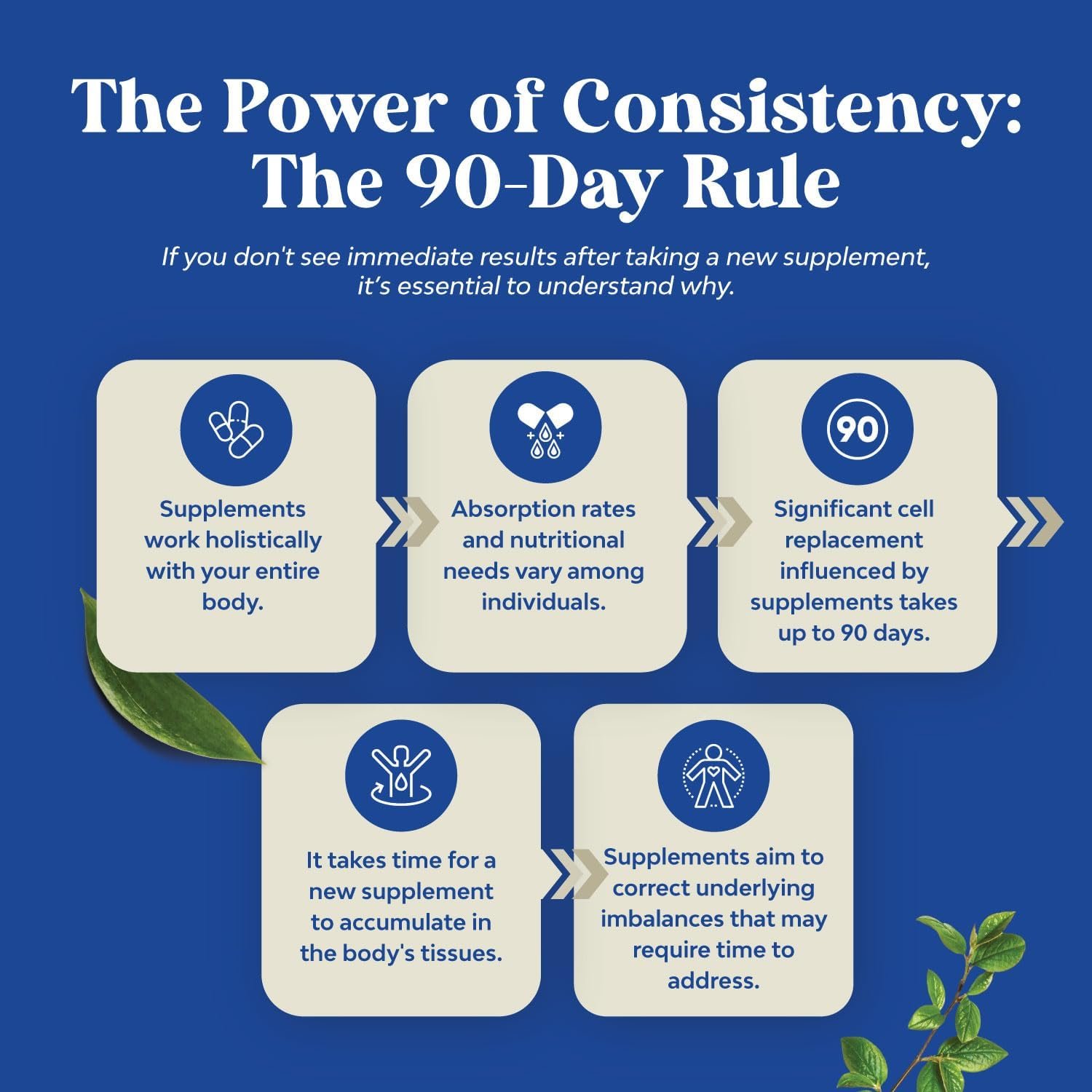 Nature's Craft Potent Maca Root 400mg with Ashwaghanda,Tribulus terrestris and Siberian Ginseng-60 capsules Exp: - Image 2