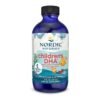 Nordic Naturals Children’s DHA, Omega-3 with EPA & DHA, 530 mg- Brain, Eyes, Nerve Development & Function, Non-GMO. Strawberry flavour - 119mls                                                 Exp:11/ 2028