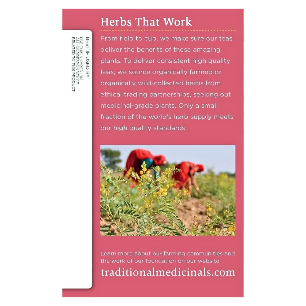 Traditional Medicinals Tea, Organic Mother's Milk, Promotes Healthy Lactation, Breastfeeding Support Exp: 06/2028 - Image 4