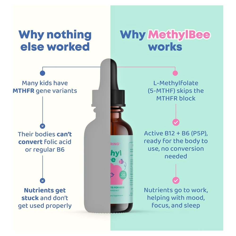 JoySpring MethylBee, Methylfolate Plus Methyl B12 Liquid Drops for Kids Ages 3+. Support for MTHFR, Mood, Behavior, Cognition, Organic Berry Flavor, 30mls Exp: 12/2027 - Image 2