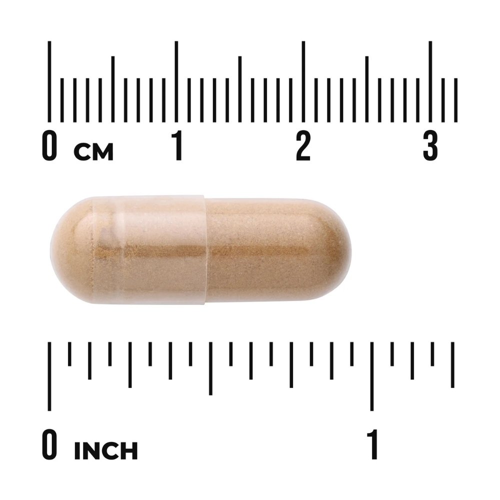 Swanson Tribulus Terrestris Extract 500mg, Libido & Fertility Support, 60 Capsules Exp: 08/2027 - Image 3
