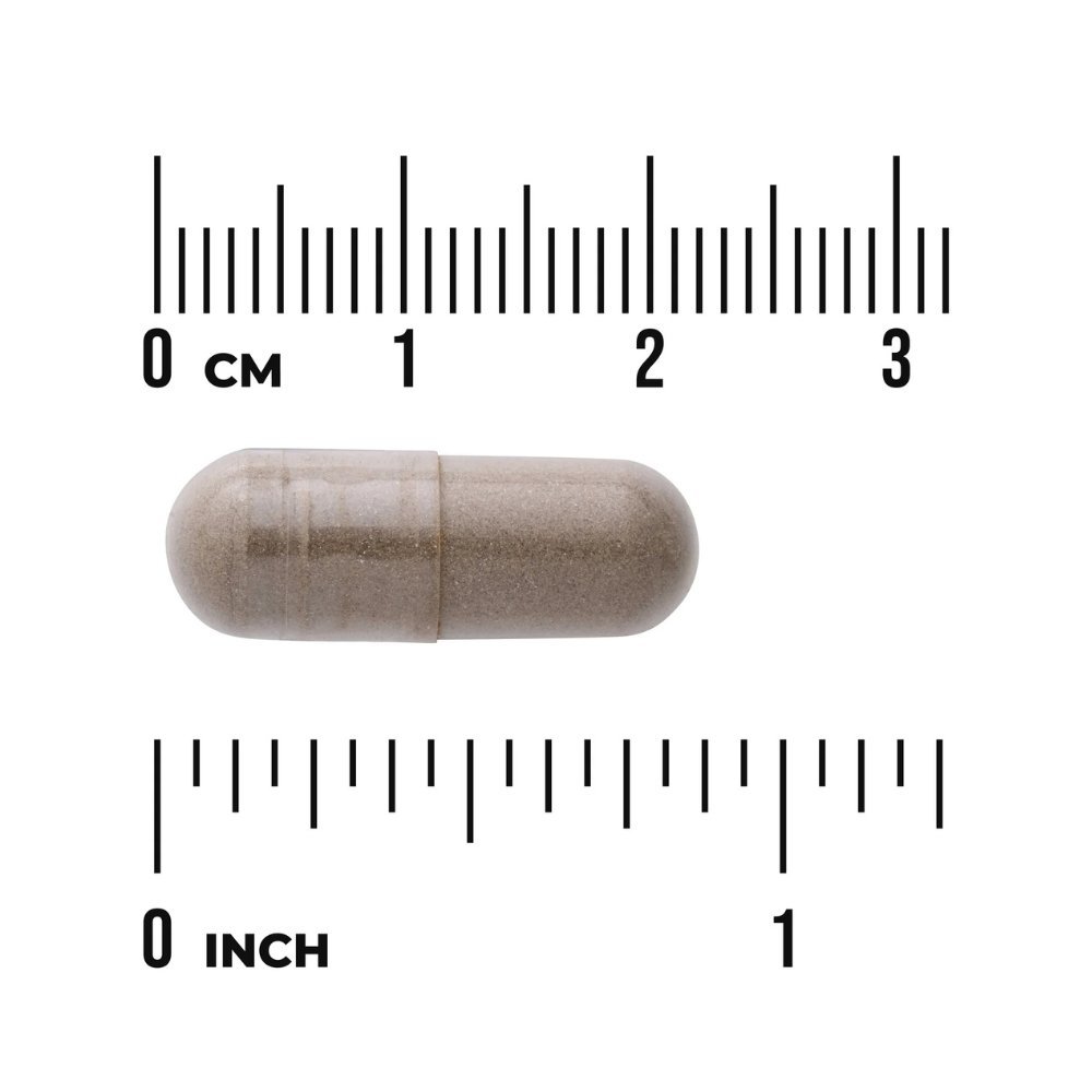 Swanson Full Spectrum Chasteberry, 400MG. For Menopausal, PMS, Hormonal Support, 120 Capsules. Exp:12/2028 - Image 3