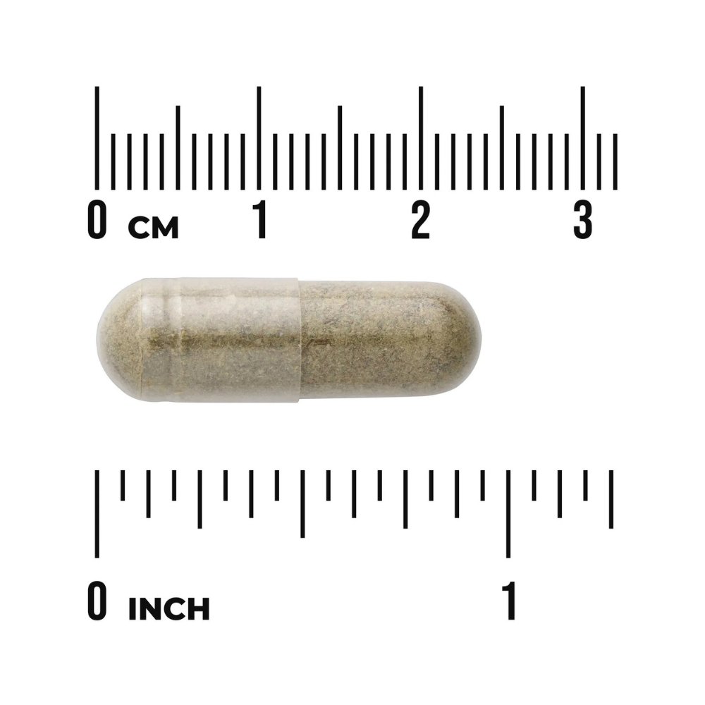 Swanson Full Spectrum Cilantro, 425MG. For Detox, Digestive, Immune Support, 60 Capsules. Exp:02/2027 - Image 3