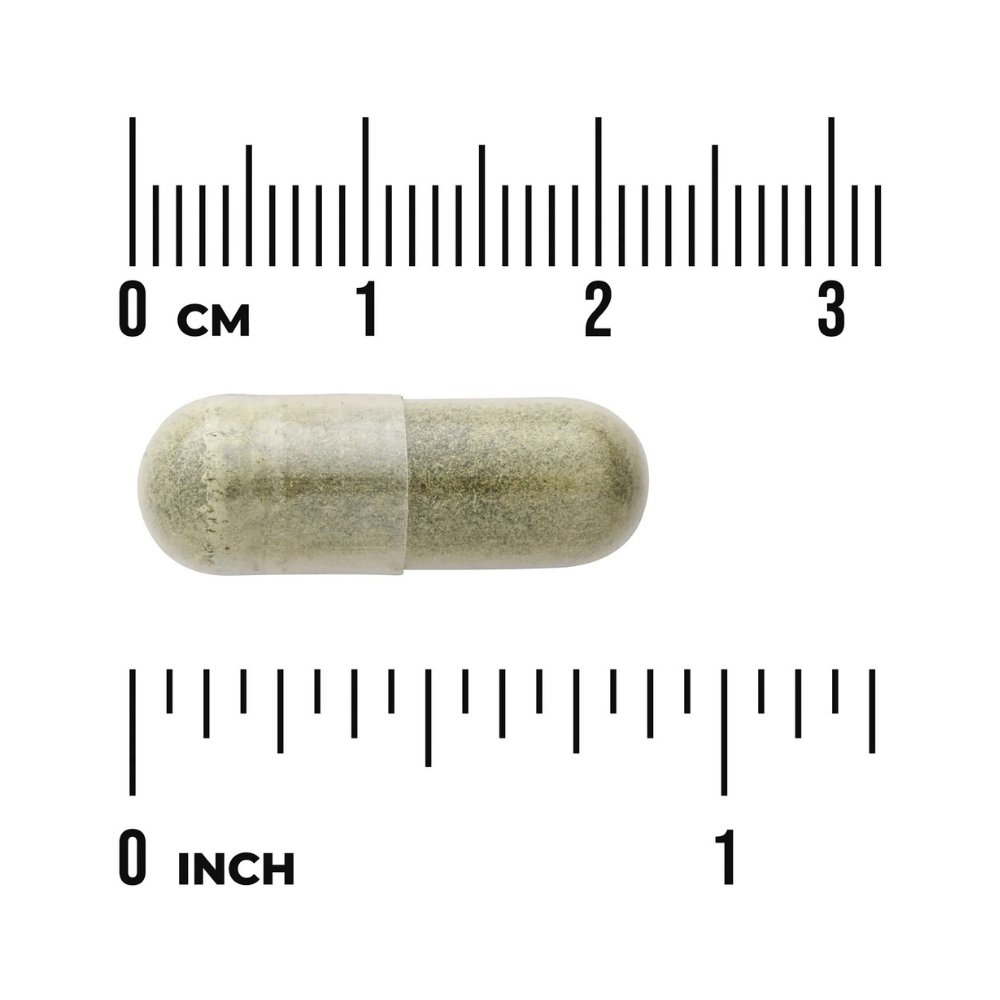 Swanson Avena Sativa, 400MG. For Mood, Libido & Energy Support 60 Capsules. Exp: 11/2028 - Image 3