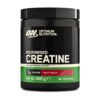 Optimum Nutrition Micronized Creatine Monohydrate Powder, Fruity Punch, 360g- For Muscle Building Support, Improved Exercise Performance & Recovery, Brain Health- 80 Servings                                                                                                                                 Exp: 06/2028
